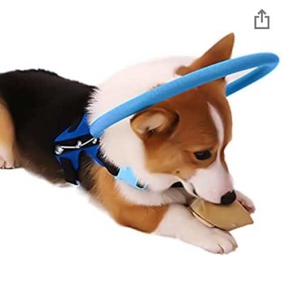 no brand Other - Anti Collision Collar For blind dog